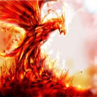 Fénix GC (@fenixgcp) 's Twitter Profile Photo Fénix GC (@fenixgcp) 's Twitter Profile Photo
