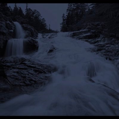 Warefffs's profile picture. 