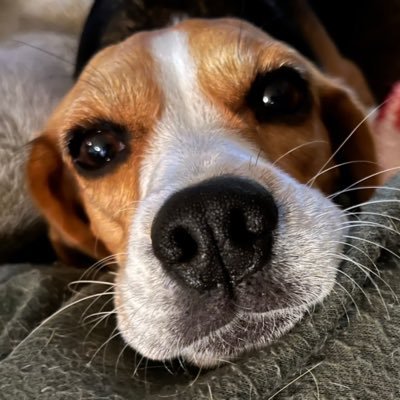 machap038's profile picture. machapです^ ^  よろしゅ