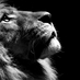Sherry Fleming (@sherryfleming2) Twitter profile photo