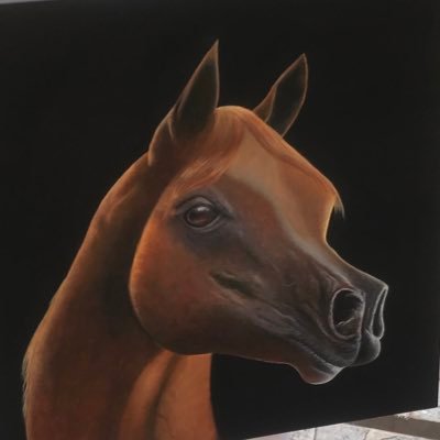 20Ibra7im's profile picture. " أكرموا من تُحبوا بكلمات جميلة وأفعال أجمل فأرواحنا خُلقت لفترة من الزمن وسترحل♥️