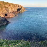 Dr Angharad Closs Stephens (@angharadcloss) 's Twitter Profile Photo Dr Angharad Closs Stephens (@angharadcloss) 's Twitter Profile Photo
