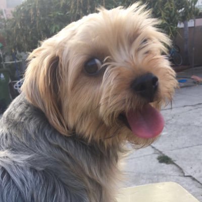 ab5by_amp's profile picture. If anything, it’s kinda your fault that I’m here ♡