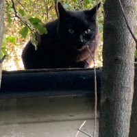 To the point (@tothepo85849100) 's Twitter Profile