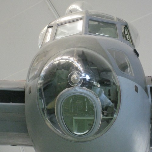 Mossie633 Profile Picture