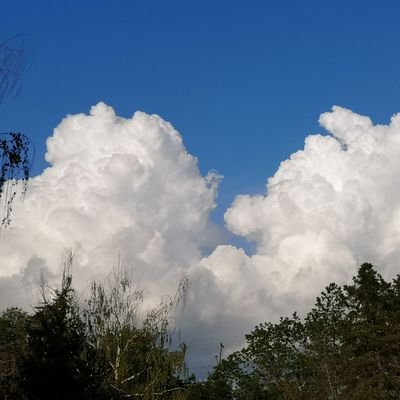 MiiriamMbr's profile picture. (she/they) تونسية | teacher, life-long learner, harissa fiend | change is the only constant |
free🇵🇸