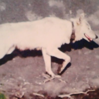 JohnGannett3's profile picture. 