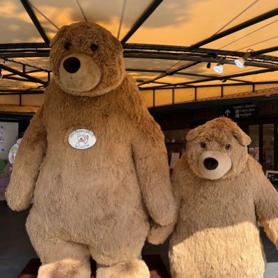 smjs202812's profile picture. 可愛いお孫ちゃん🩷と元花組トップスター柚香光さん❤️ 推し活中です！