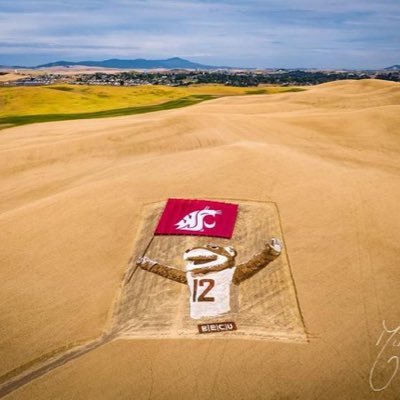 cfcjr13's profile picture. 