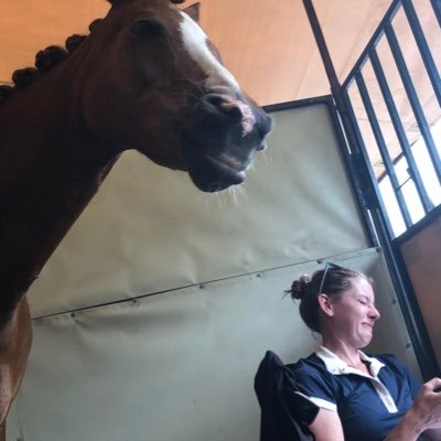 Investor Relations | Startup Fundraising | Horse Crazy