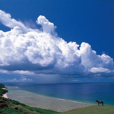 Takuya71301683's profile picture. 