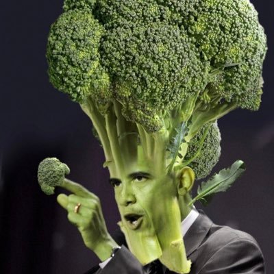 MrMcPuMpKiNwOlF's profile picture. I like building in Minecraft