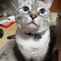 パーン (@parn0513) 's Twitter Profile