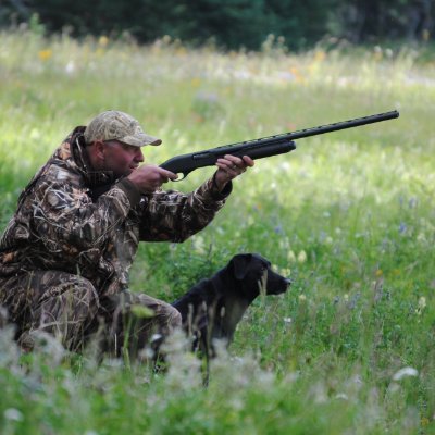 dtorinus's profile picture. 