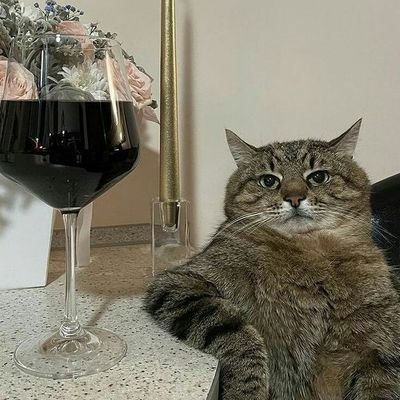 Pmtssr's profile picture. live slow, die whenever✨