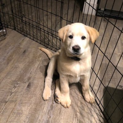 NickTiny2's profile picture. Twitch Affiliate and a casual gamer on KBM