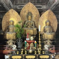 イマイ　高山祭　金鳳台　1/12 【即購入⭕️】 Sake online shop] Tengu Mai Yamahai-shikomi Junmai Sake