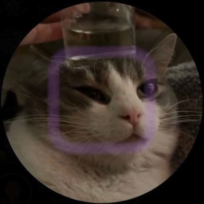 garrettbmcg13's profile picture. Generally unimpressive. vegger 🌱