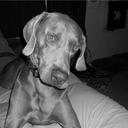 Chris Wanner - @ChrisWanner1 - Twitter