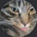 vezhny (@morebigalex) Twitter profile photo vezhny (@morebigalex) Twitter profile photo