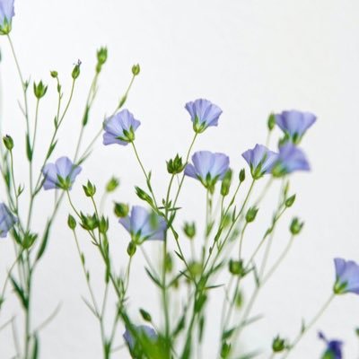 ReoLeo1231's profile picture. 日常+ヲタク垢。TREASURE🐶🐨🦁　舞台大好き！