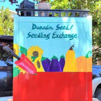 Dunedin Seed/Seedling Exchange Box (@dunedinseedbox) 's Twitter Profile