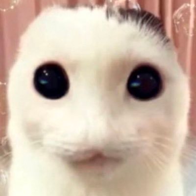 eva dentlyさんのプロフィール画像