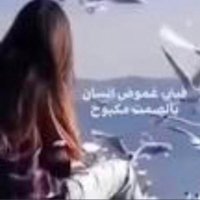 مــهــا🕊🤍 (@ilovemycityy) Twitter profile photo