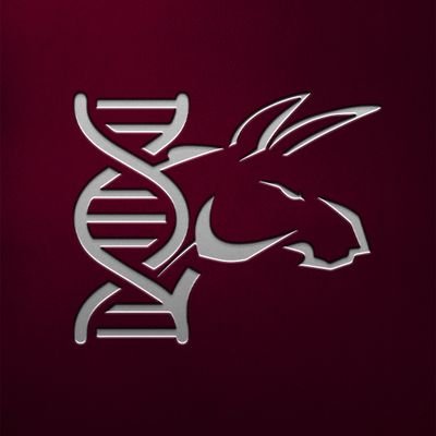 La fraternidad busca brindar el apoyo para un mejor desarrollo del equipo de football americano Burros Blancos representativo del IPN Zacatenco ⚙️🇱🇻