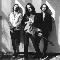TBSD (@tbshakedown) 's Twitter Profile