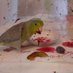 BirbMurderingFruit๐ณ (@whateve81693280) Twitter profile photo BirbMurderingFruit๐ณ (@whateve81693280) Twitter profile photo