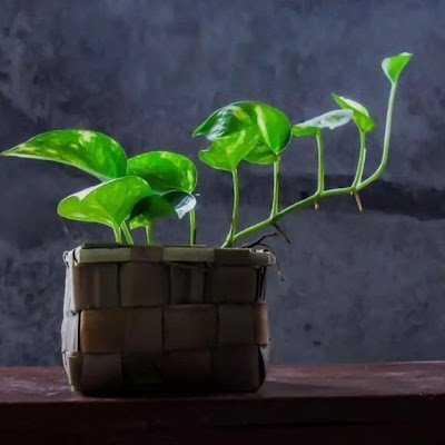 nikhils69758108's profile picture. Engineering (std)