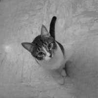 Gabriele Sicuro (@gabrielescr) 's Twitter Profile Photo Gabriele Sicuro (@gabrielescr) 's Twitter Profile Photo