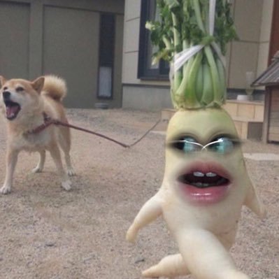 ilovelyou1's profile picture. 