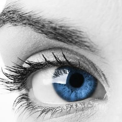 Gudrun1939's profile picture. Buscala si te interesa