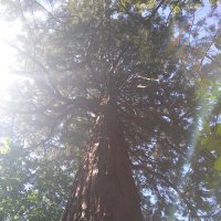 GFSpiers 🌿 (@gfspiers) 's Twitter Profile