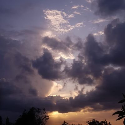 Lorena07982151's profile picture. This is my safe place📚❤️