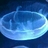 ivanl9's profile image