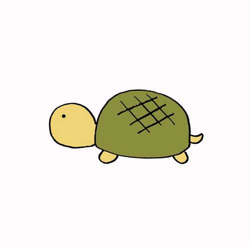 Kameeeeさんのプロフィール画像