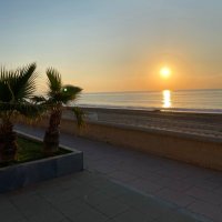 Mrs Hawthorn (@crhawthorn) 's Twitter Profile