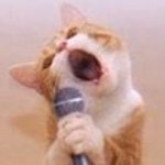 고양이 일본트윗 번역계 (@nihongowacaran) 's Twitter Profile Photo 고양이 일본트윗 번역계 (@nihongowacaran) 's Twitter Profile Photo