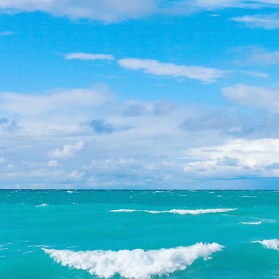 Jieping0530's profile picture. 