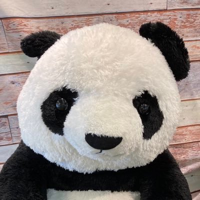 FrwkZs3SUJNipVr's profile picture. 