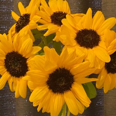 donguriUD's profile picture. 成瀬竜から沼  旅 ライブ 観劇