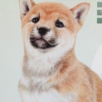 ぎん (@gin902ag) 's Twitter Profile