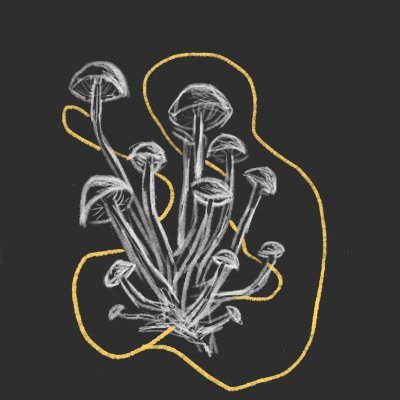 rhea_antony's profile picture. Visual Storytelling & Information Design