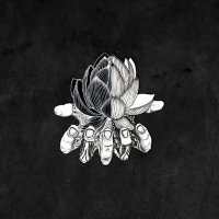 Poly-Math (@polymathrock) 's Twitter Profile