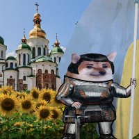 Ralnik 🇺🇦💛🐝⚖️ childrenofwar.gov.ua (@rali_niko) 's Twitter Profile