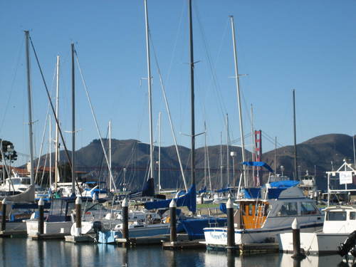 gastroanthropology Profile