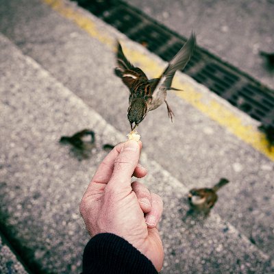 photojournalist, street photographer, writer - contributing for The New York Times, VICE, Stern and other publications - instagram: benkilbphoto